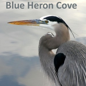 Susan c/o Blue Heron Cove Caracciolo